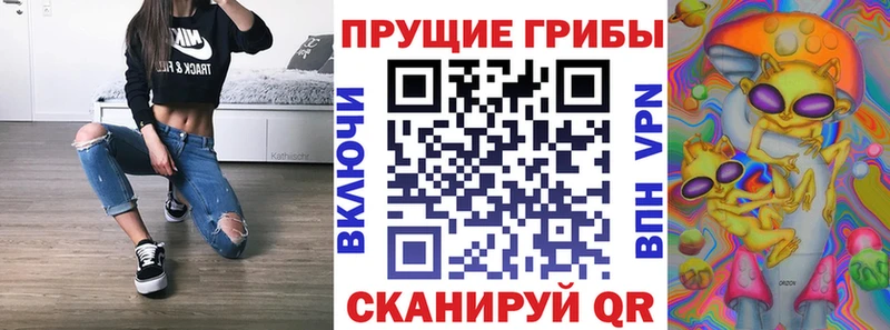 даркнет сайт  Белая Холуница  Псилоцибиновые грибы ЛСД 